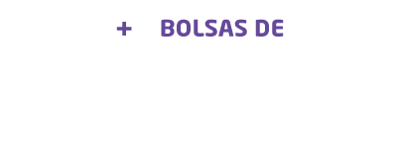 BOLSAS_VOCENAUNIT